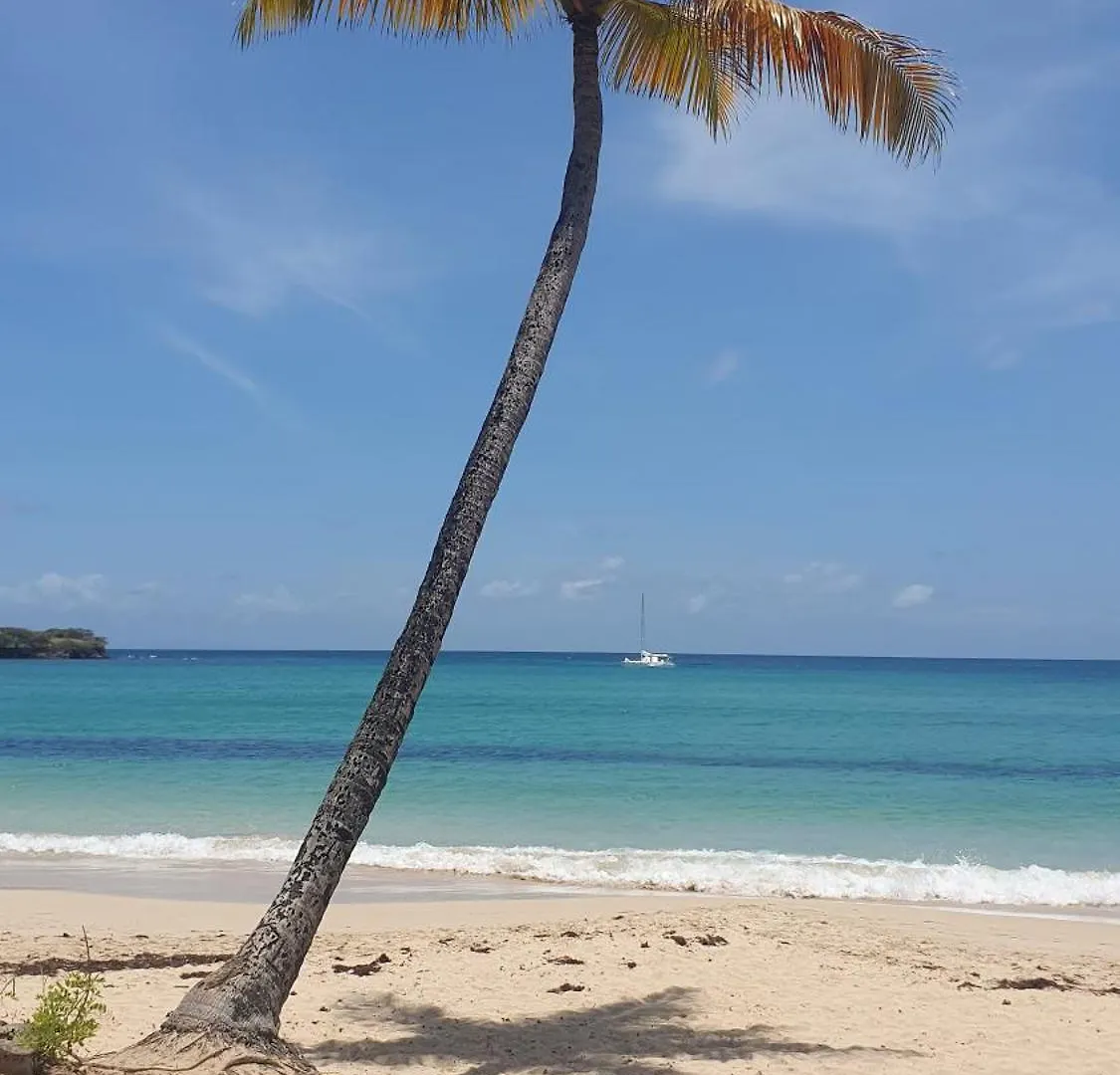 Ti Oasis Margarita Studio Piscine Et Plage A P&Vac Village-Club 圣吕斯 0*,