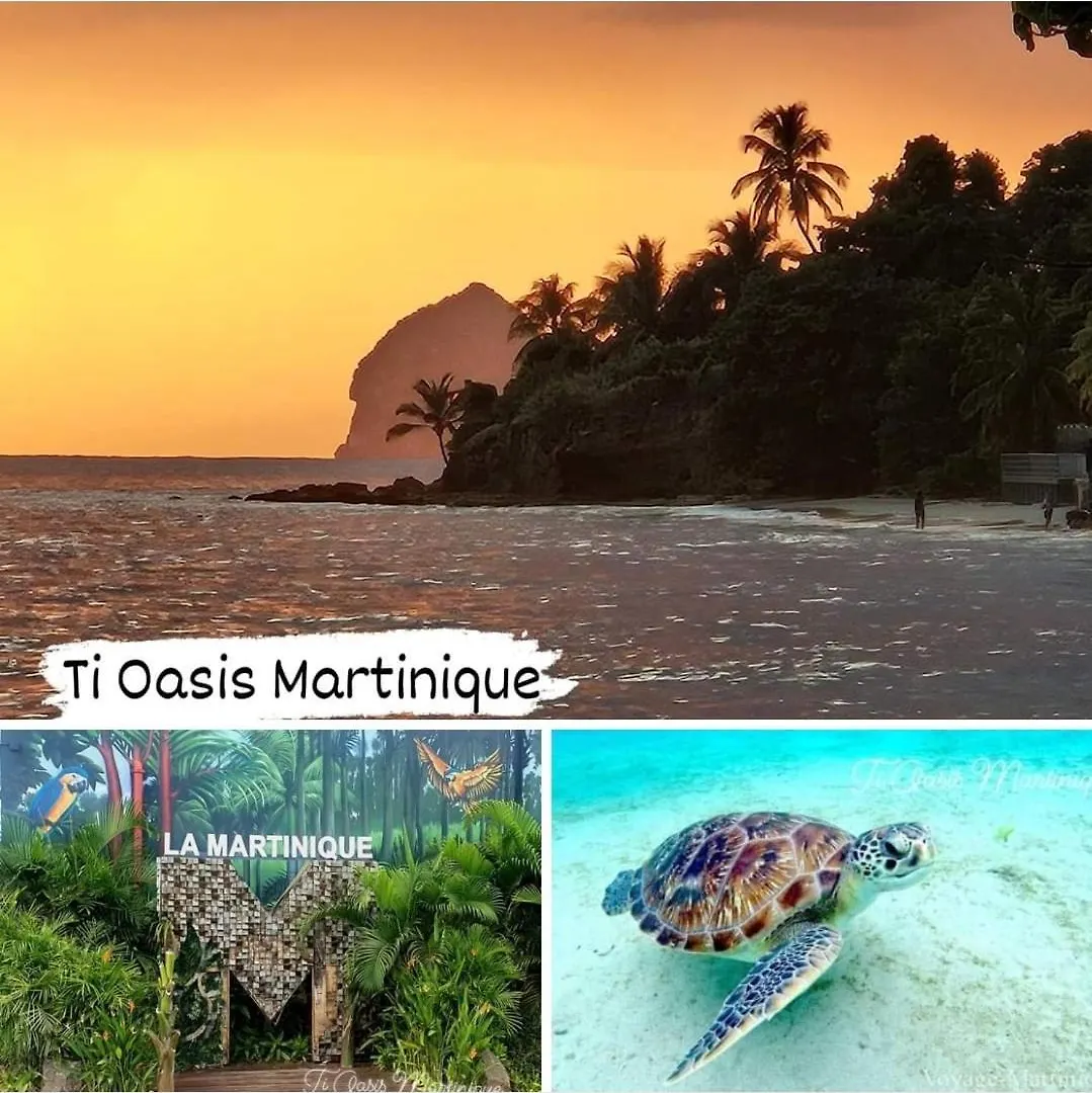 Ti Oasis Margarita Studio Piscine Et Plage A P&Vac Village-Club Sainte-Luce 0*,