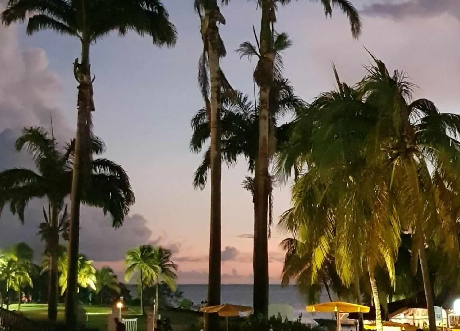 Ti Oasis Margarita Studio Piscine Et Plage A P&Vac Village-Club Sainte-Luce